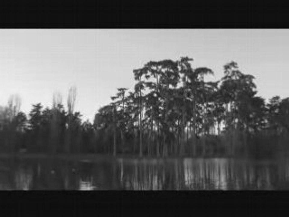 Bois de Bologne - Lac inferieur