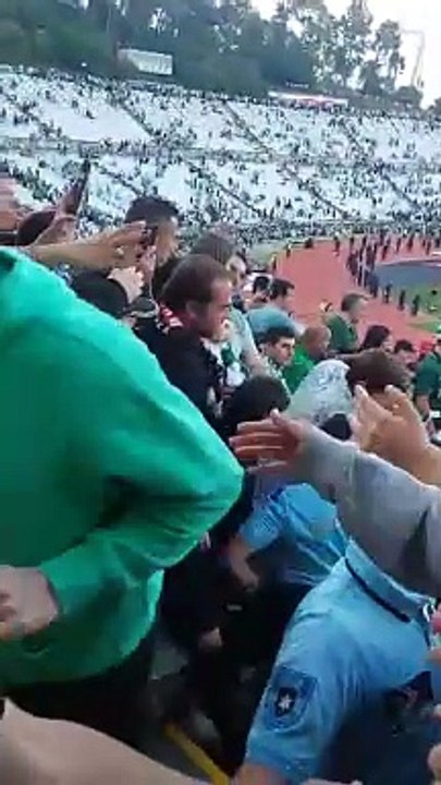 Sporting tribuna