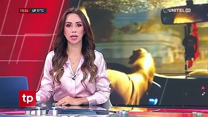 Una mujer y dos hombres doparon a un taxista para robarle su vehículo en Cochabamba