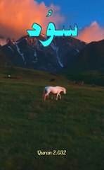 #drisrarahmed  Sood (riba)