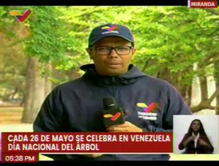 Miranda | Ciudadanos hacen un llamado al cuidado de la naturaleza en el Día Nacional del Árbol