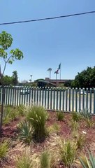 Dentro de las instalaciones de FERROMEX, en la colonia Moderna de Guadalajara, localizaron un cadáver encobijado