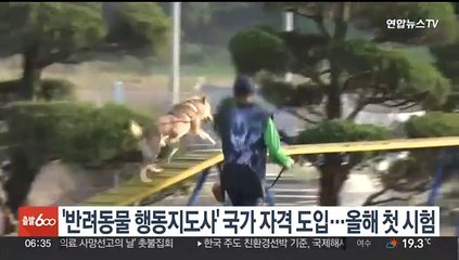 '반려동물 행동지도사' 국가자격 도입…올해 첫 시험