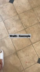 Wraith - Keszzopia