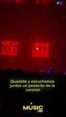 Peces Raros y su show en el Luna Park.