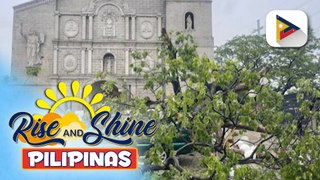 Makasaysayang puno ng acacia sa harap ng Minor Basilica of St. John the Baptist sa Taytay, Rizal...