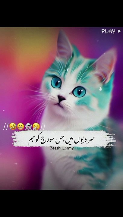 SnapTik_App_7372260472743005446-HD
