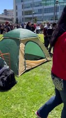 Still trying to fool young thinking people