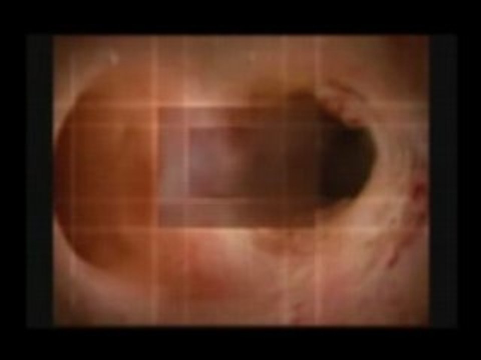 Sequence 01_test
