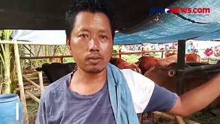 Lapak Hewan Kurban Dadakan di Pemalang Mulai Bermunculan Jelang Iduladha