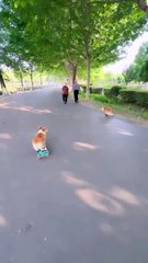 Wow! They do really understand the surroundings