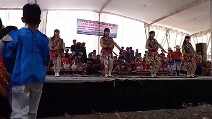 Nyidam sari