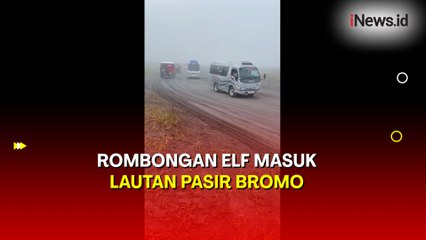 Viral! Rombongan Elf Masuk Lautan Pasir Gunung Bromo, TNBTS Buka Suara