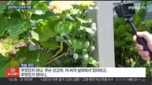 양귀비 불법재배 막아라…해경, 섬마을 등지 특별단속