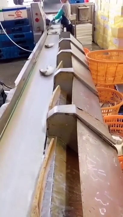 Automation Quietly Transforming Industries #shorts #shortvideo #video #virals #videoviral #innovationhub