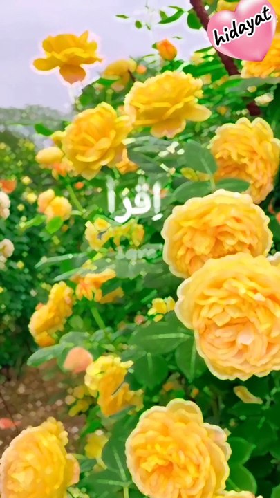 Asalam u Alaika ya Rasool Allah