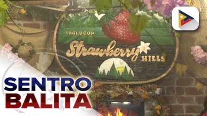 Bukidnon, may mga bagong pasyalan; malawak na taniman ng strawberry at ubas, makikita sa lalawigan
