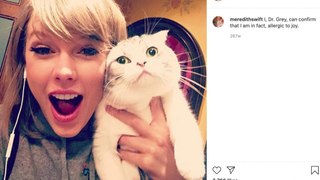 Experts have advised Taylor Swift fans not to buy the breed of cat she owns