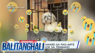 Clingy na aso, award sa pag-arte sa among papasok sa trabaho | BT