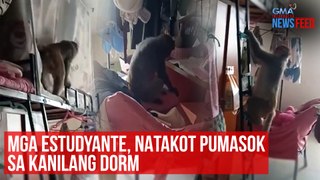Mga estudyante, natakot sa pumasok sa kanilang dorm | GMA Integrated Newsfeed