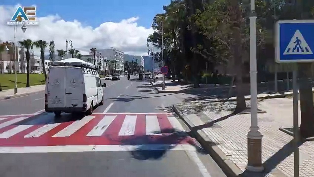 الحمامة البيضاء ️