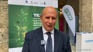 TEF 2024, Uricchio: tanti suggerimenti per transizione giusta