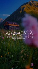 Quran Ayat Tilawat _Daily recitation  #islami #shorts #video #viral #trending