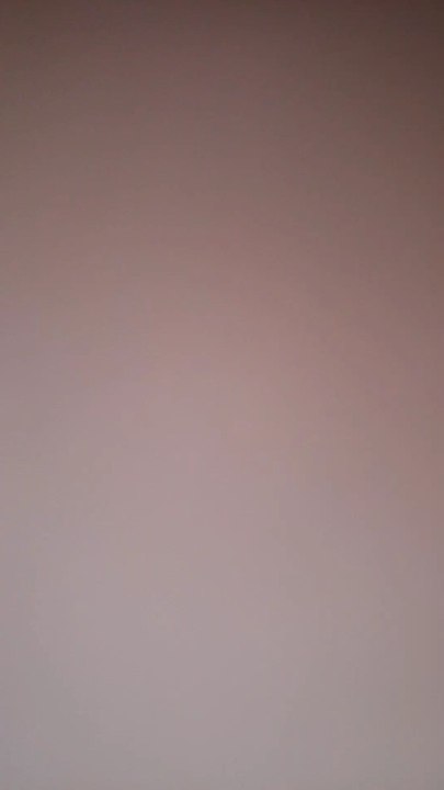 القط بسبوس اللطيف كيوت