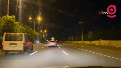 Otomobil tavanında tehlikeli yolculuk