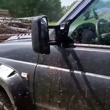 Invasion de moustiques... flippant