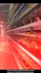 H Type Layer Battery Cage System