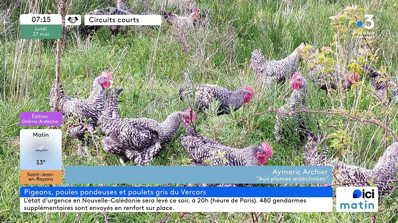 À Villevocance et Roiffieux, "Aux plumes ardéchoises", poulets en Gris du Vercors, pigeonneaux, œufs plein air