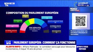 Quel poids les partis français ont-ils au Parlement européen? BFMTV répond à vos questions