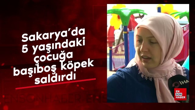 Sakarya'da 5 yaşındaki çocuğa başıboş köpek saldırdı