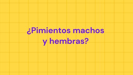 ¿Puede haber pimientos machos y hembras?