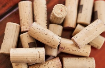 Adieu moucherons, odeurs et humidité : les pouvoirs insoupçonnés du bouchon de liège