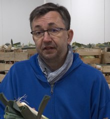 Karim sauve 30 tonnes de légumes "moches" par jour