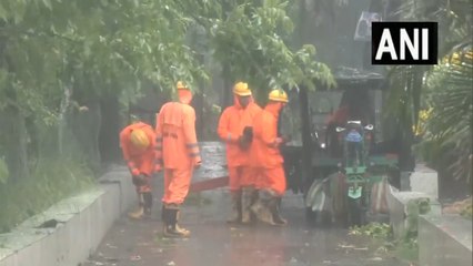 रेमल के प्रभाव से कई पेड़ के डिब्बे बने हुए हैं,एनडीआरएफ द्वारा राहत एवं बचाव अभियान चलाया जा रहा है