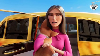 Đây là chú chó Corgi đẹp nhất nước Anh - REVIEW PHIM - Corgi Những Chú Chó Hoàng Gia