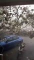 Tree falls during heavy storm at AmBank in Taman Kinrara, Puchong