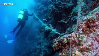 Croatian Divers Clear Adriatic Sea of Fish-Trapping Nets