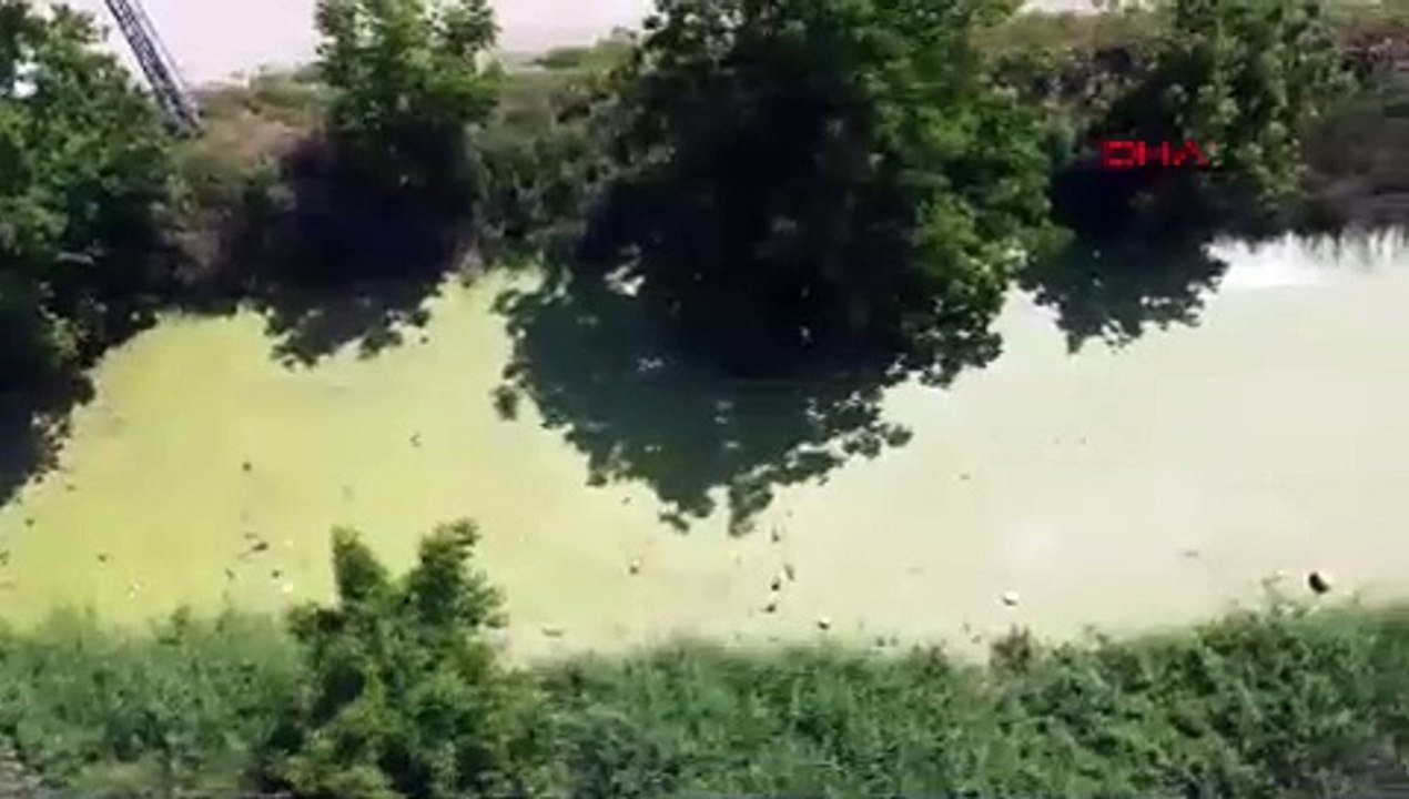 Türkiye bir doğa harikasını daha kaybetti: Artı...