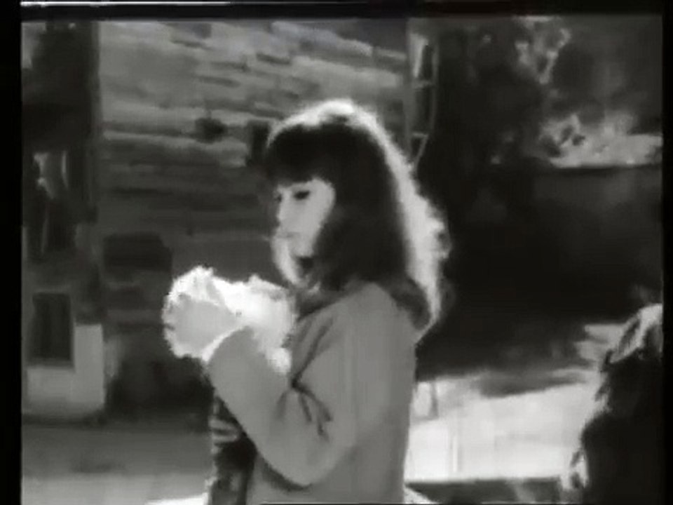 Zımba Gibi Delikanlı