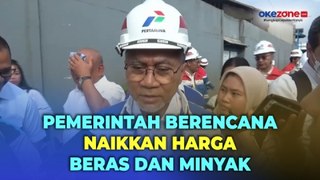 Mendag Ungkap Pemerintah Berencana Naikkan Harga Beras dan Minyak Goreng