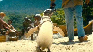 Sweet Official Trailer for My Penguin Friend with Jean Reno