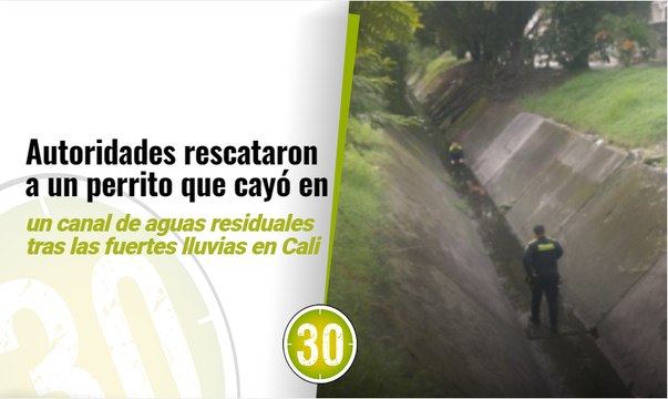 Autoridades rescataron a un perrito que cayó en un canal de aguas residuales tras las fuertes lluvias en Cali