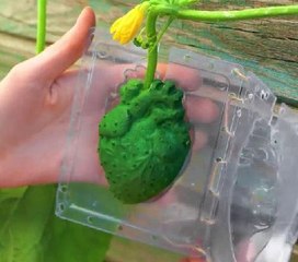 Gardening tips you'll fall in love with!