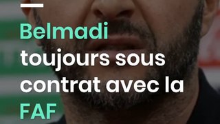 Belmadi toujours sous contrat avec la FAF