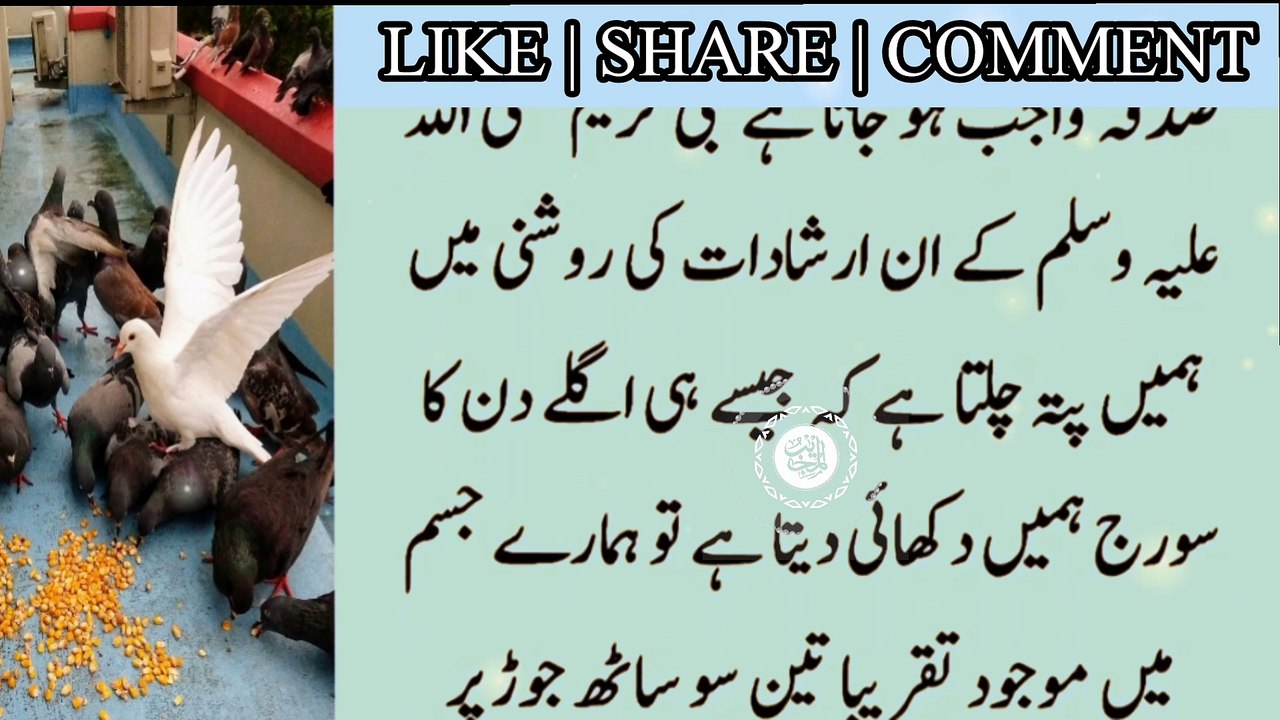 2 aisay sadaky Jo Allah ko behad pasand hai | Islamic Waqiyat