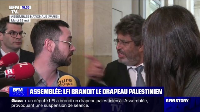 Mais qu'est-ce que tu fais là toi ? Barre-toi d'ici ! : le vif échange entre David Guiraud (LFI) et Meyer Habib (LR)